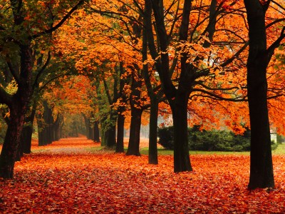 Three Questions You Should Be Asking This Fall